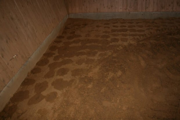 arrosage subirrigation homogene pour carriere ou manege