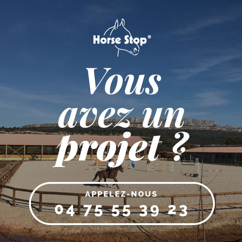 Horse-Stop-projet-Mar-20-2023-02-09-29-6010-PM