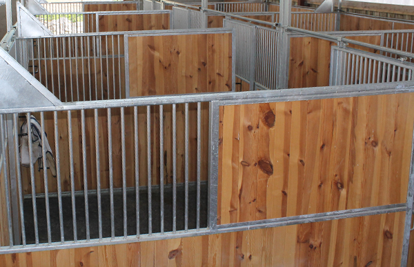 Séparation mixte barreaux et bois de Box pour chevaux