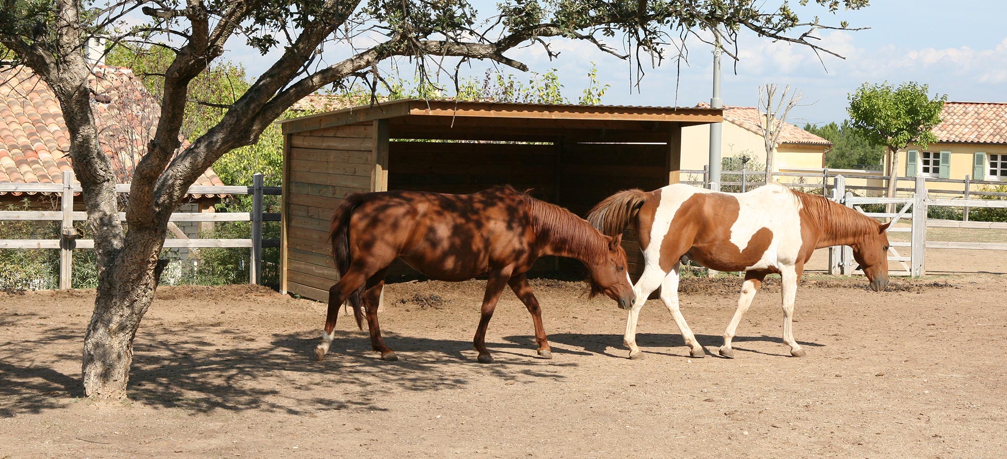 Comparatif des abris chevaux