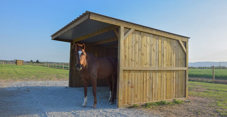 Nos 10 conseils pour abriter vos chevaux dans les meilleures conditions