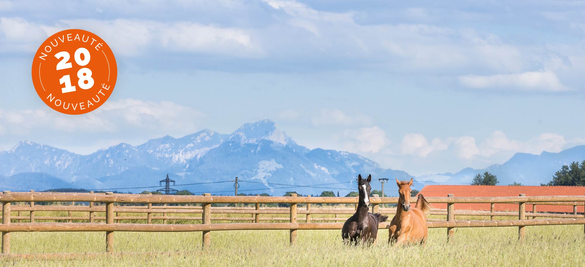 Les nouveautés clôture Horse Stop 2018